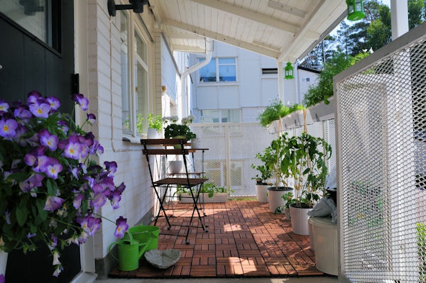 orvokki-kasvien veranta-kodikkaasti varustaa