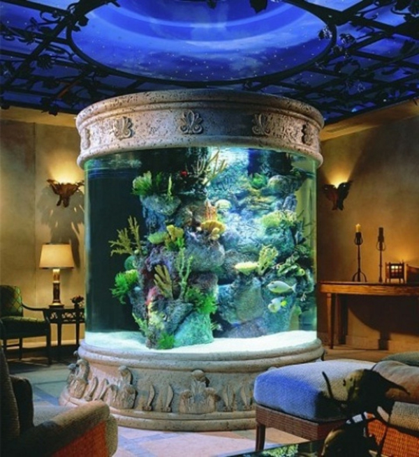 супер модерна идея за аквариум - огромен размер