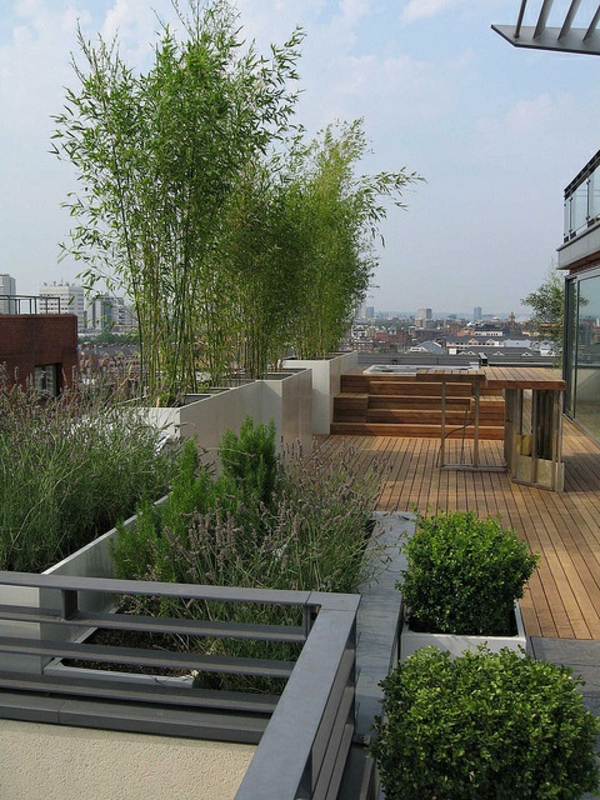 super-hermosa terraza diseño-con-muchas-plantas-moderno diseño de terraza
