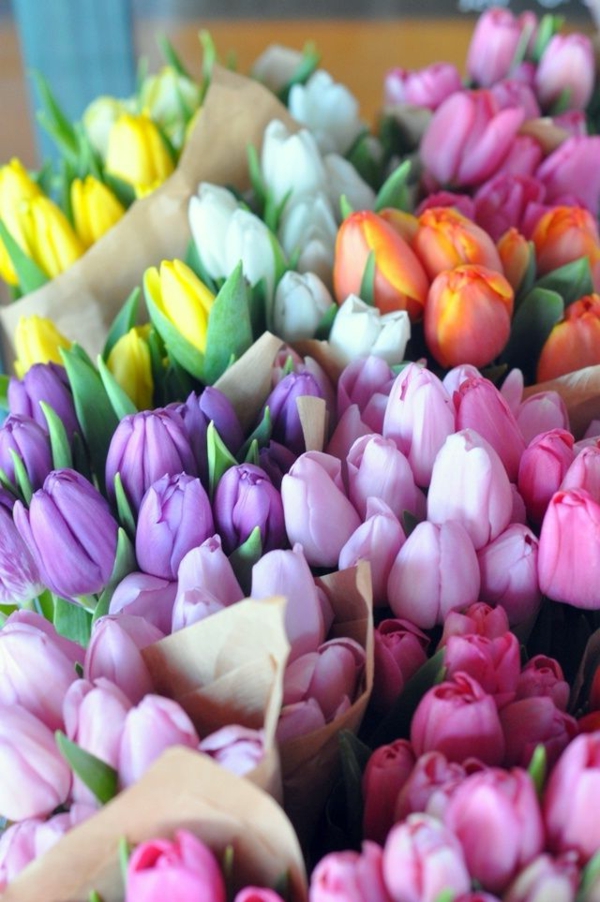 super bonitos decoración de mesa de tulipanes-multicolor