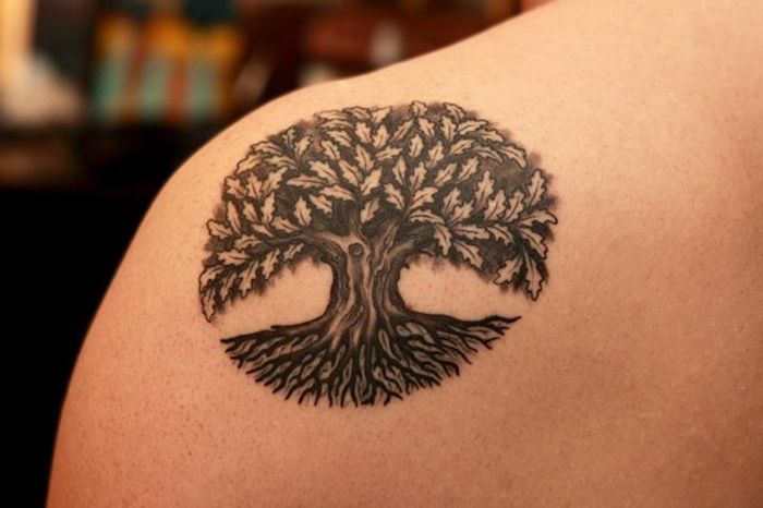 Келтска татуировка от бук с типични листа и голям корен