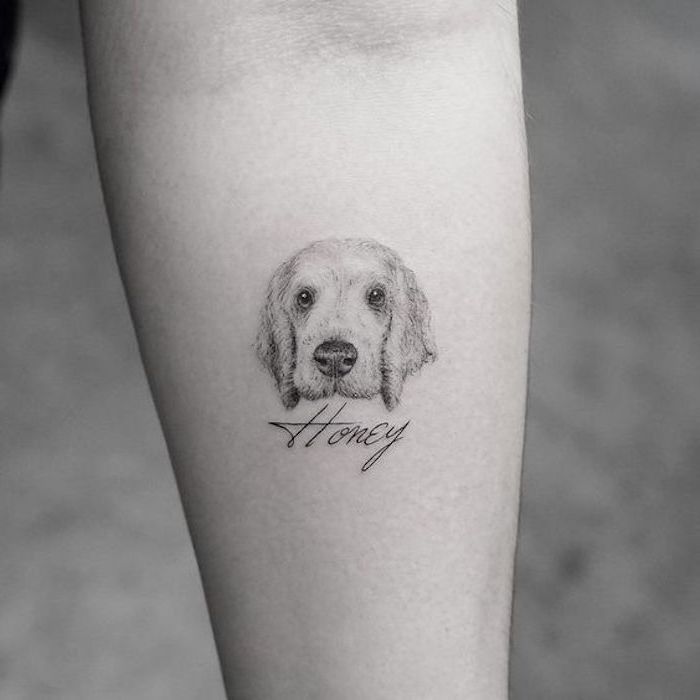 перманентна рисунка, бяло куче на име Хъни