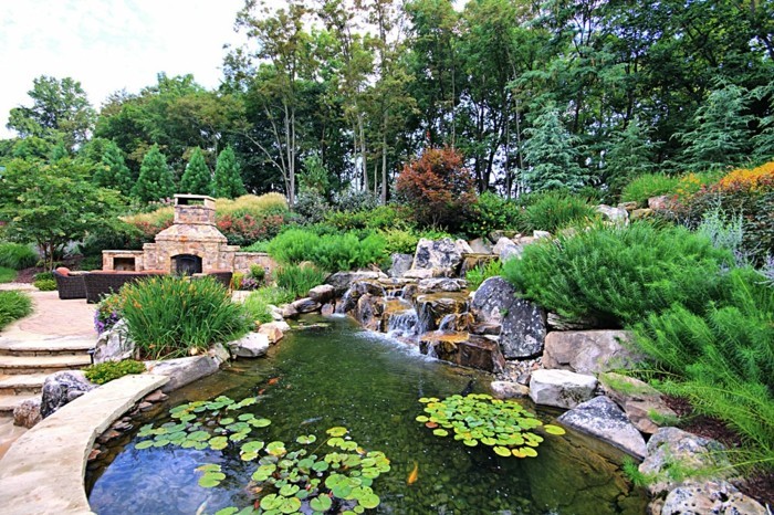 तालाब-संयंत्र एक अच्छा दिखने-बगीचे तालाब
