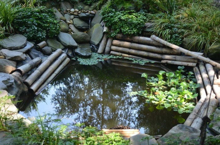 तालाब-पौधों पर एक-महान मिनी तालाब