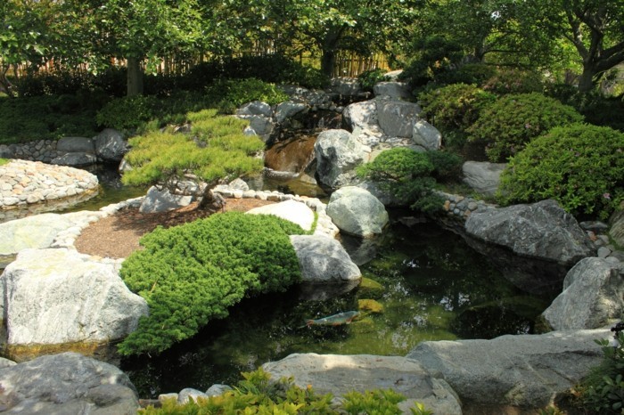 diseño-a-gran-estanque estanque de plantas