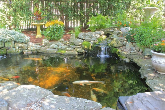 estanque-planta-peces por estanque