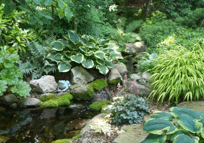 तालाब-पौधों पर यहां-हैं-अद्भुत-पौधे करने वाली-तालाब