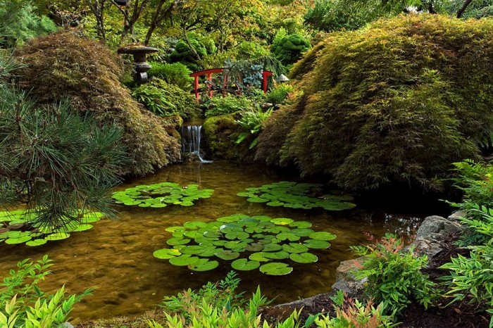 तालाब-पौधों पर अच्छा-विचार के-एक-बगीचे डिजाइन के साथ-तालाब