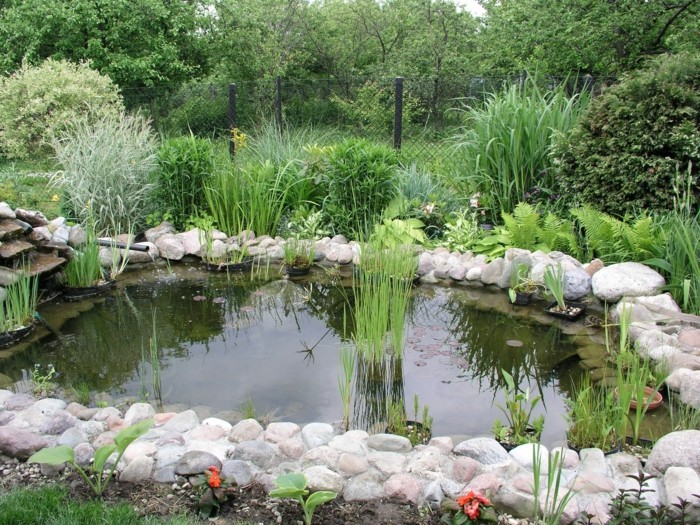 estanque-planta-aquí-no-es-un-buen aspecto-jardín-estanque
