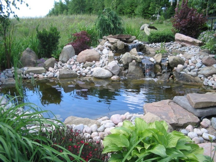 तालाब-पौधों पर यहां-हैं-अब भी अद्भुत पानी संयंत्र-दर-तालाब