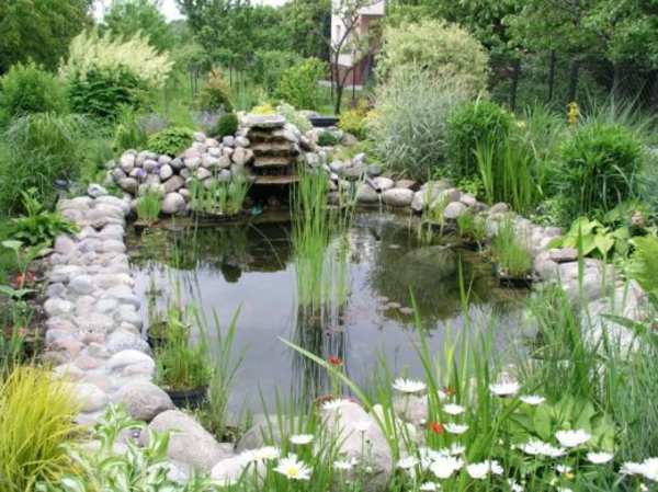 езерце-растение-заобиколен с-stones-