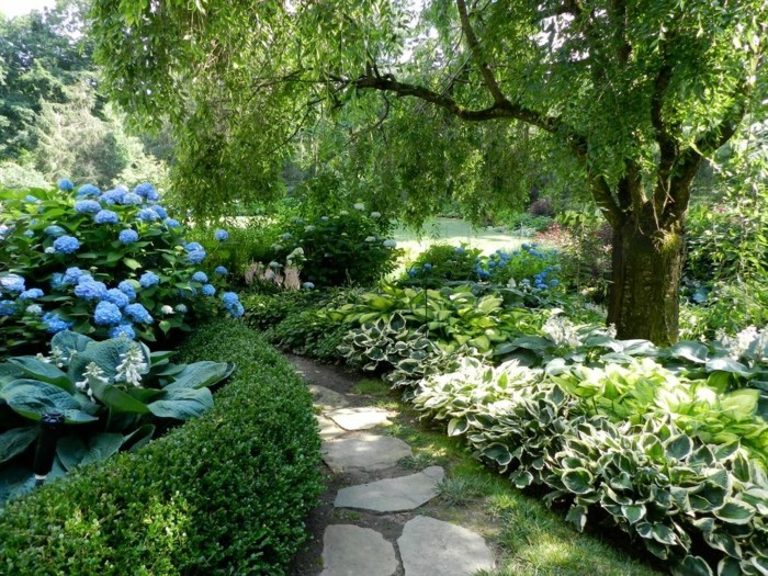 estanque-planta-todavía-a-gran-idea-de-diseño-jardín con estanque