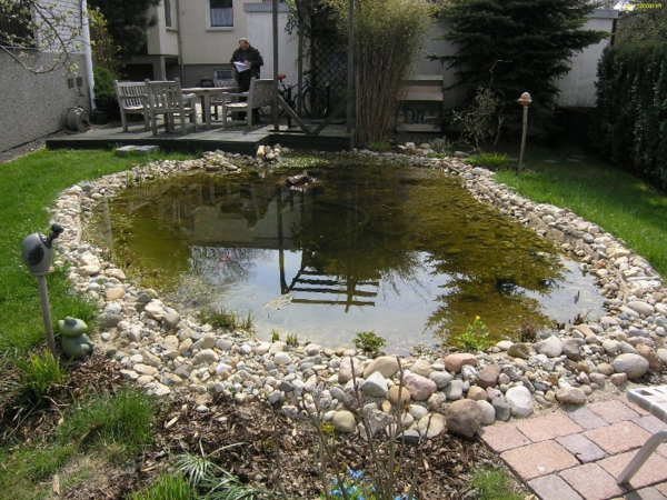 estanque de plantas prima foto
