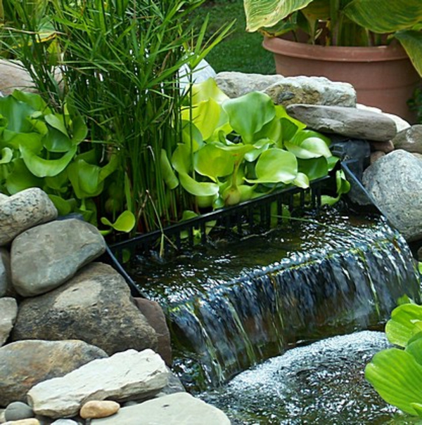 estanque de plantas super diseñada