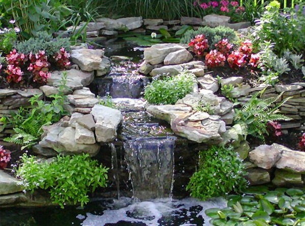 езерце-растителни и-много камъни