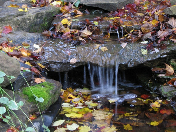 езерце-с-водопад-супер-изображение