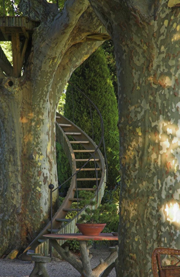 κήπος-όπως-build in-όνειρο-σκάλα-in-the-tree-