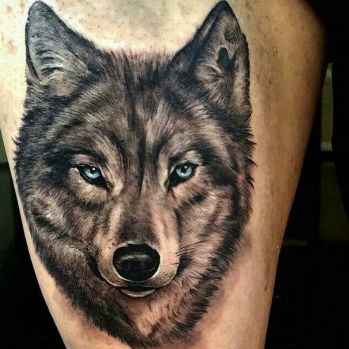 farkas törzsi - itt van egy farkas tetoválás - egy farkas, gyönyörű kék ​​szemekkel