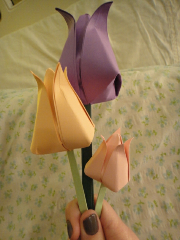 tulipana - ljubičasta i narančasta - žena ju je uzela