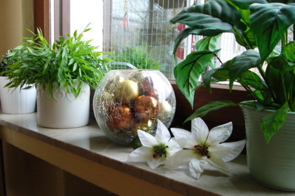 ψεύτικο-φυτό-με-ένα-imerrgrünes παράθυρο