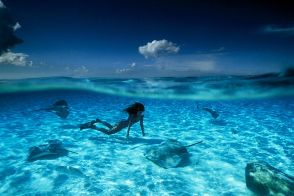 френска полинезия снимка - една жена плува с рибата