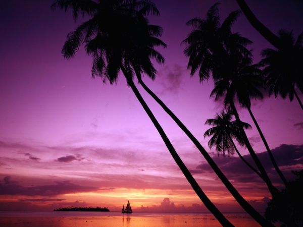 παλάμη διακοπές στη γαλλική Polynesia-