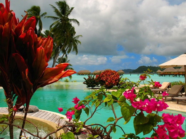 почивка в Френска Полинезия красиви цветя