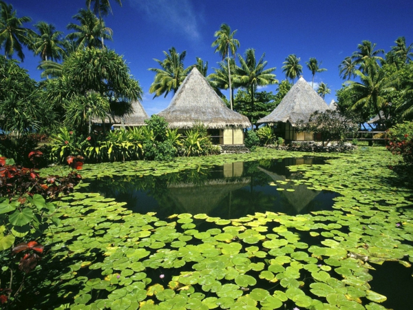 почивки в Френска Полинезия-вир-листо-зелено