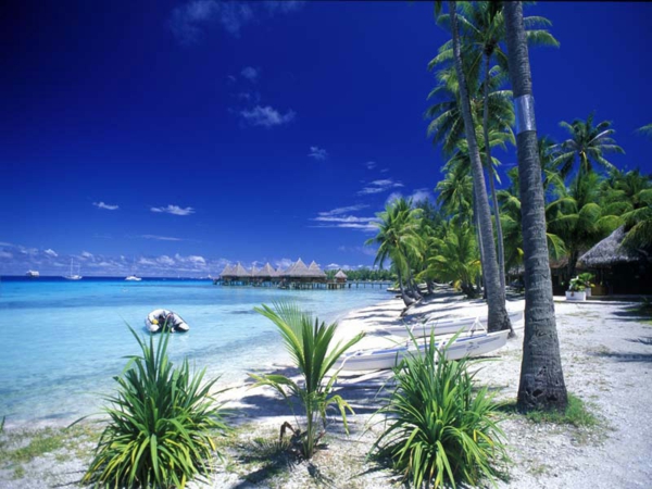 Polinezija-više dlanovima odmor-u-Francuski