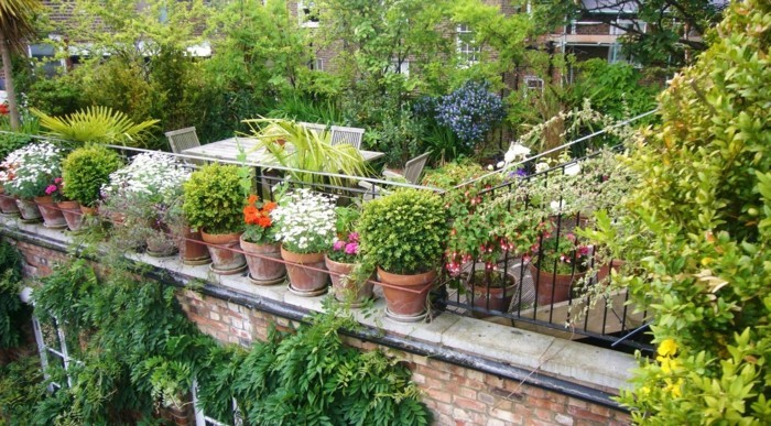 idées-pour-petits-jardins efficaces de nombreux-beau-vert-usine-jardin-conception complète