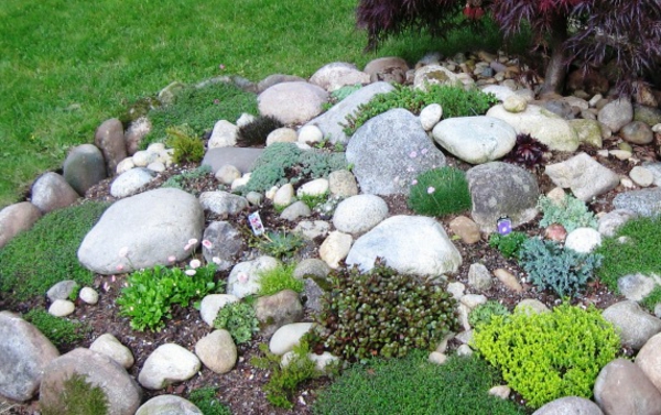 много камъни-в-градина