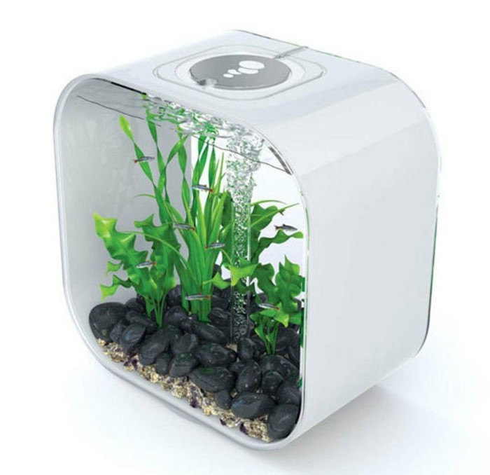 квадратни малък аквариум-с-камъни пясък-вода-растение-малък риба аквариум-деко
