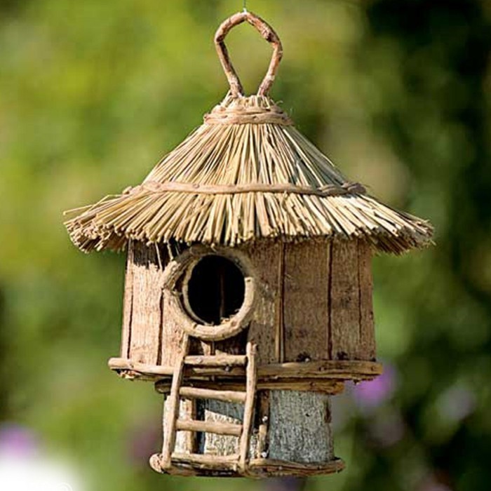 madáreleségembe house-saját-build-tól-fa-a-madáreledel house-saját-build