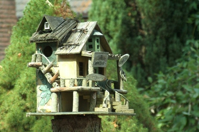 madáreleségembe house-saját-build-build-a-madáreledel house-a saját build-barátságos megjelenésű