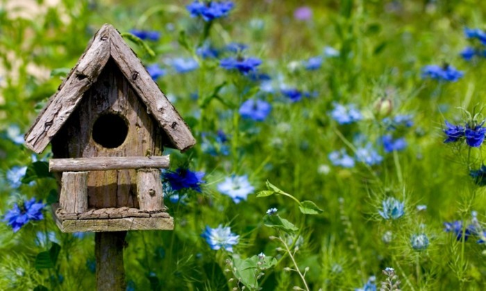 birdseed kuća-vlastite-graditi-a-lijepa ptica kuća-sami graditi
