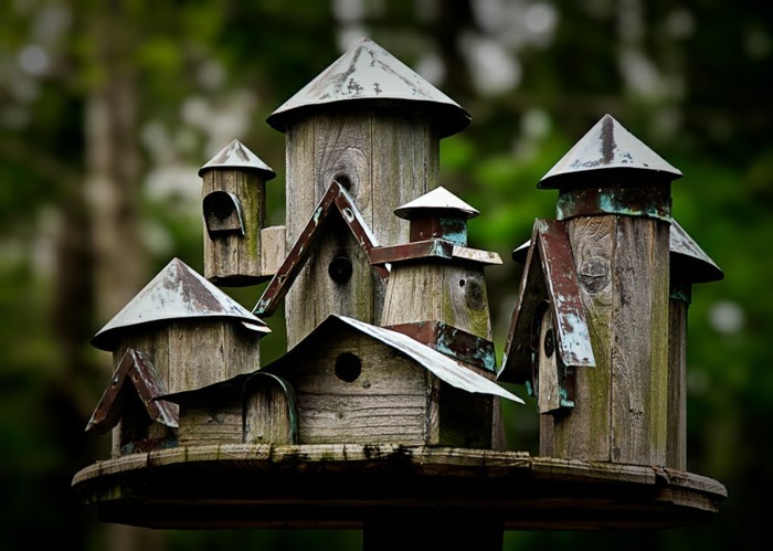 birdseed kuća-vlastite-graditi-san-ptica sjeme kuća-zgrada