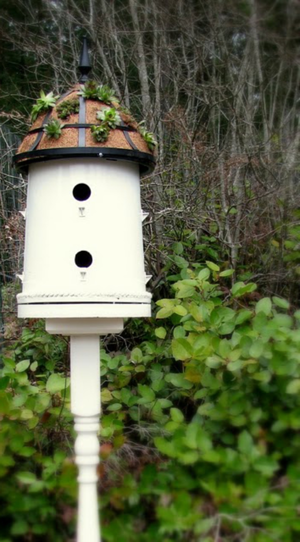 birdhouse-high-self-build- في الغابة