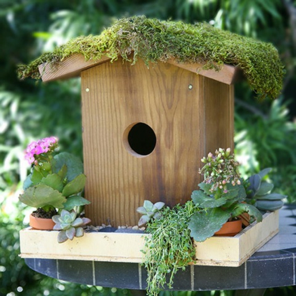 منزل الطيور-بناء الذات-مثيرة للاهتمام-تصميم-نظرة الحلو
