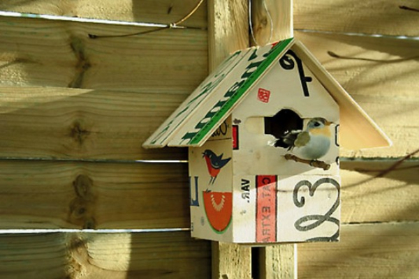 birdhouse-self-build-красиви-изглеждащи цветни цветове и птица