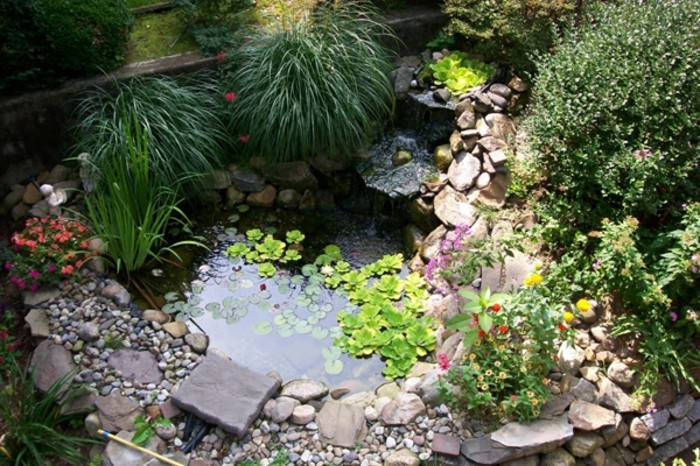 Vorgarten-créer-petits bassins-et beau-vert plante