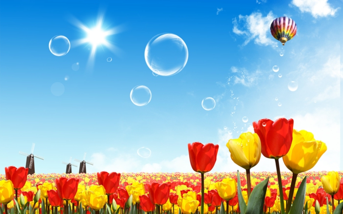 pozadine za-ljetni-tulipana-u-crveno-žuta