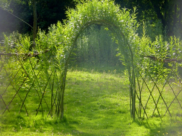 пасище ограда-сам натрупване арка-зелен