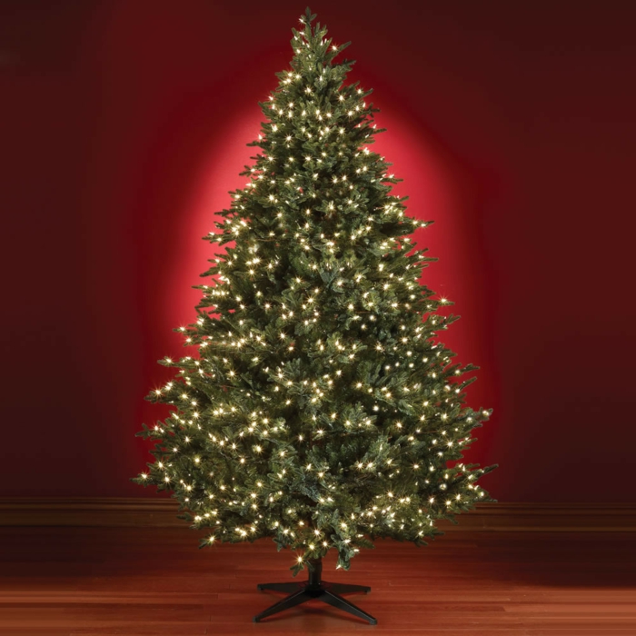 أضواء عيد الميلاد مزينة-التنوب الأشجار