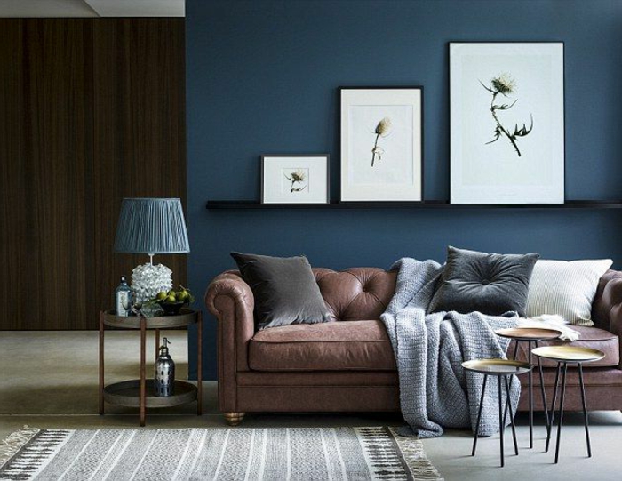 sininen olohuoneen seinä, koristeltu kuvia kolmesta eri kokoisesta kasveista