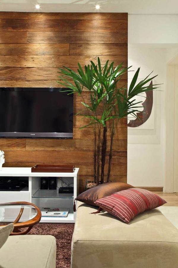salon avec tv, décoration décorative