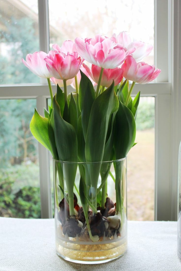 lijepa pozadina tulipana sadnja-the-lala-lala-u-Amsterdam-tulipana pozadina tulipana otkup