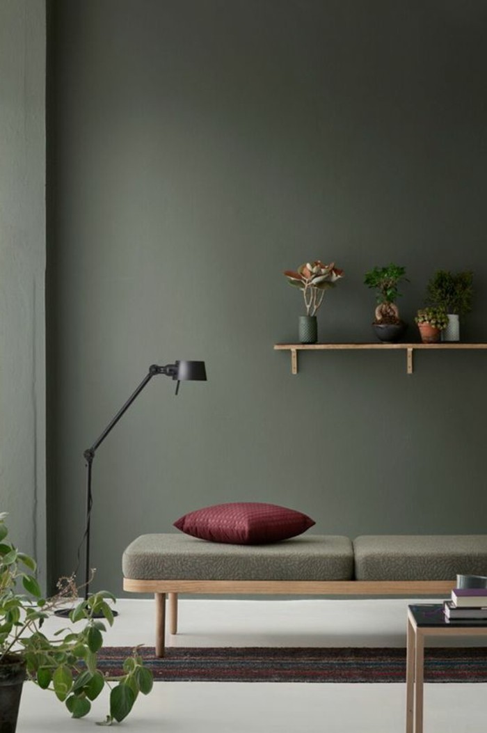 hermoso color diseño-estar-oscuro-paredes-y-estante-by-the-wall