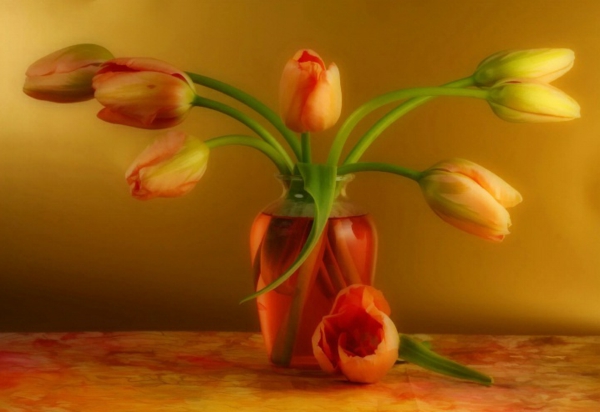 lijepe Francuski-tulipani-u-prekrasnom-vazi