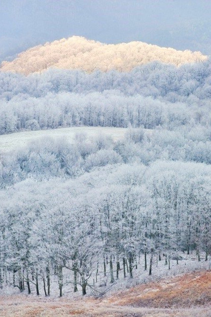 όμορφη, εμπνέοντας χειμερινά τοπία εικόνες-απέραντο-παγωμένα δάση