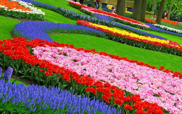 جميلة الزهور حديقة تصميم الملونة بلون-gartengestaltung-نصائح